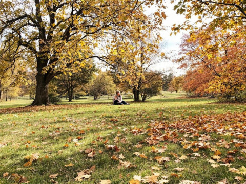 العناية بالبشرة في فصل الخريف