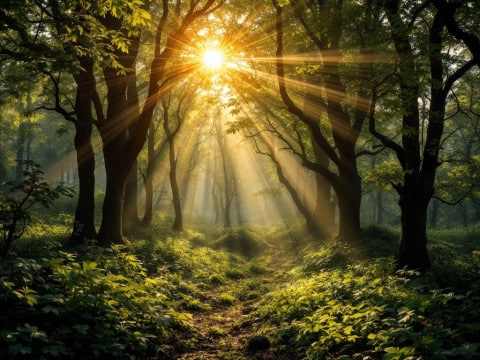 توازن الانقلاب الصيفي